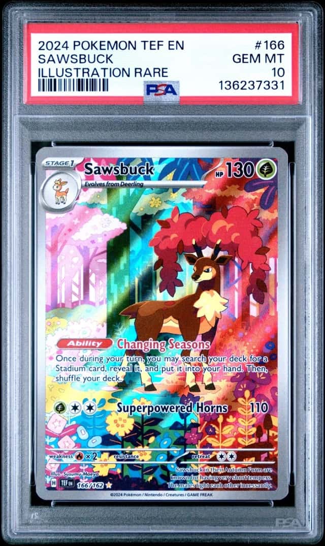 Sawsbuck