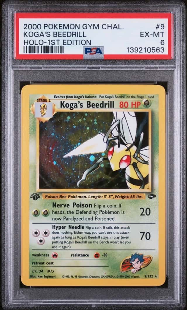 Koga's Beedrill