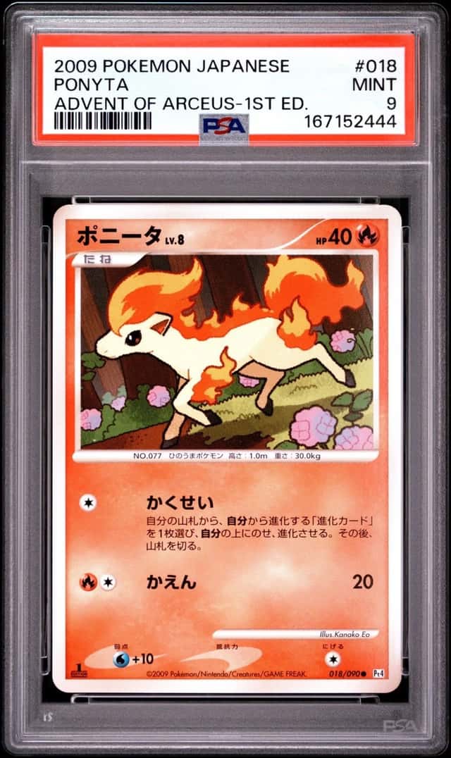 Ponyta