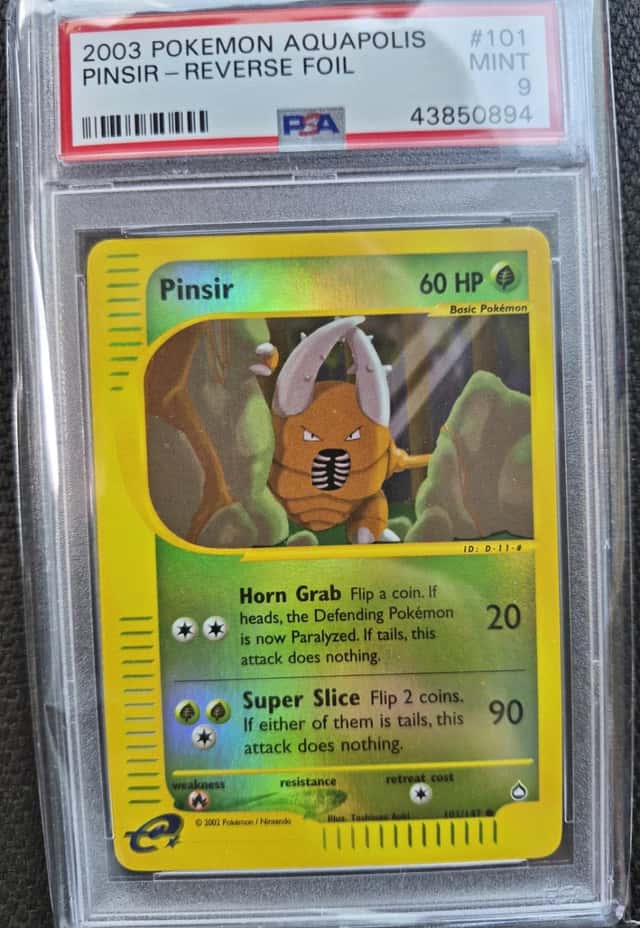 Pinsir
