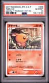 Torchic