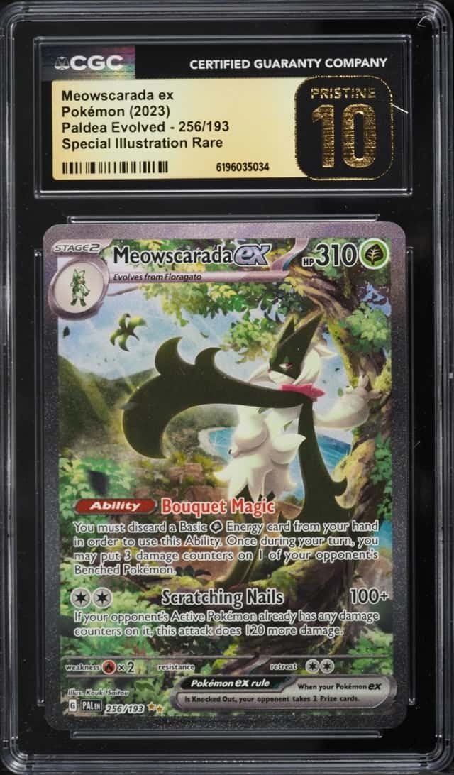 MEOWSCARADA ex