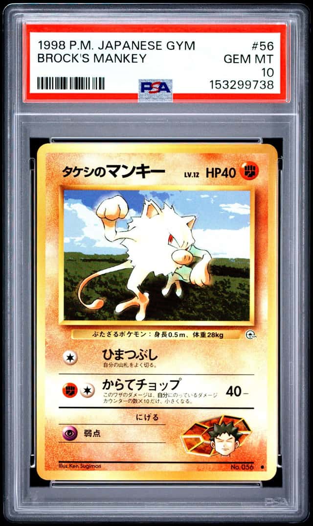Brock's Mankey