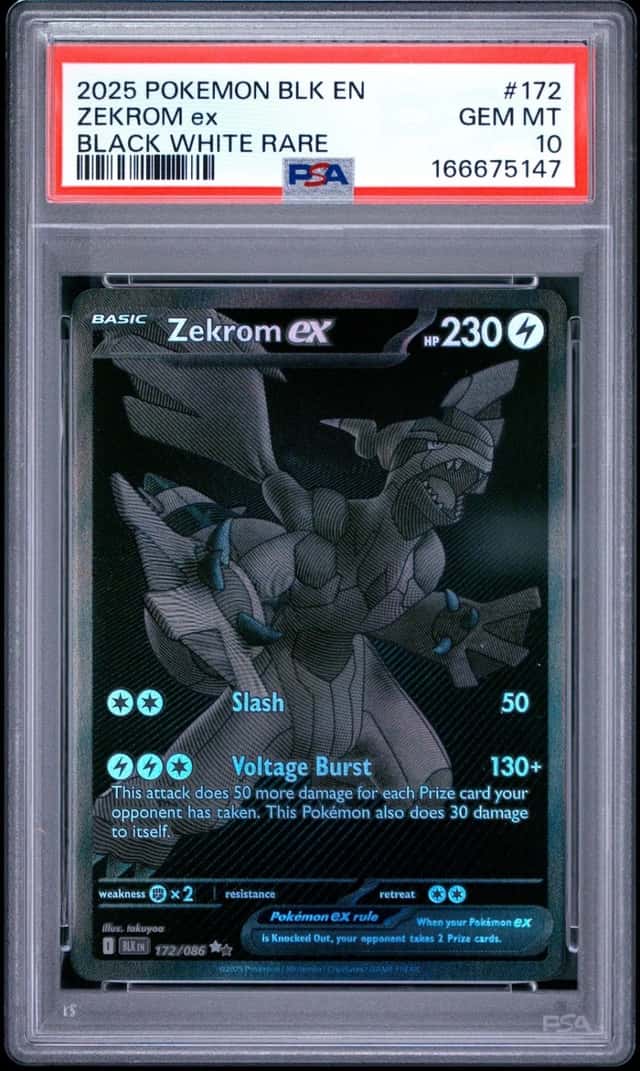 ZEKROM ex