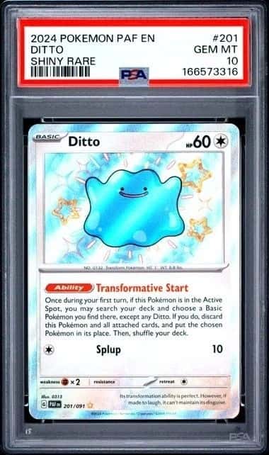 Ditto