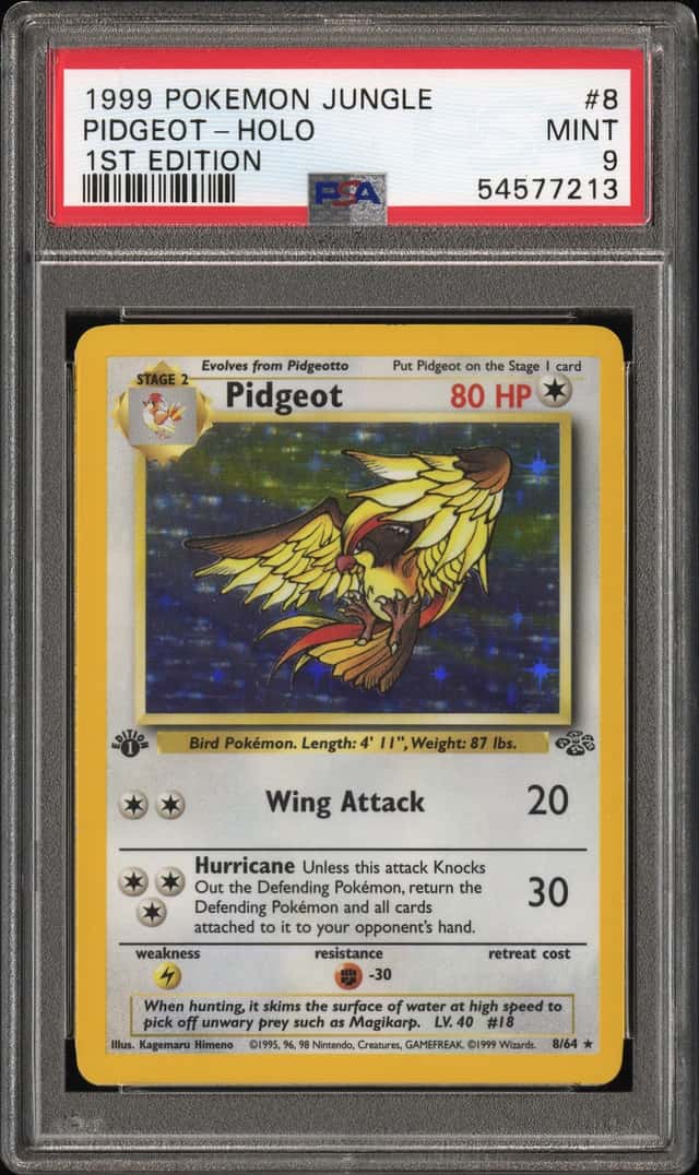 Pidgeot