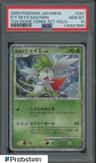 Icy Sky'S Shaymin