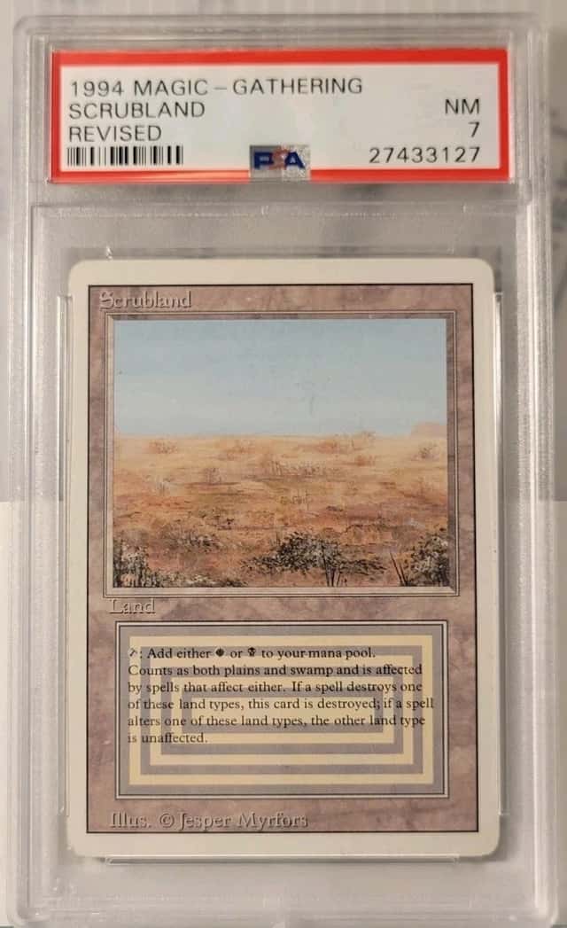 Scrubland