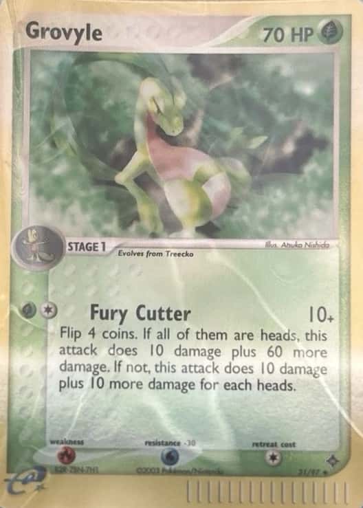 Reverse Holo