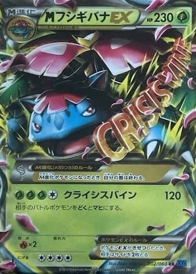 Holo · 1st Edition