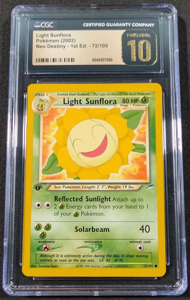 Light Sunflora