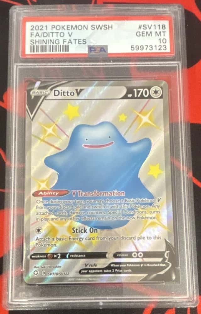 Ditto V