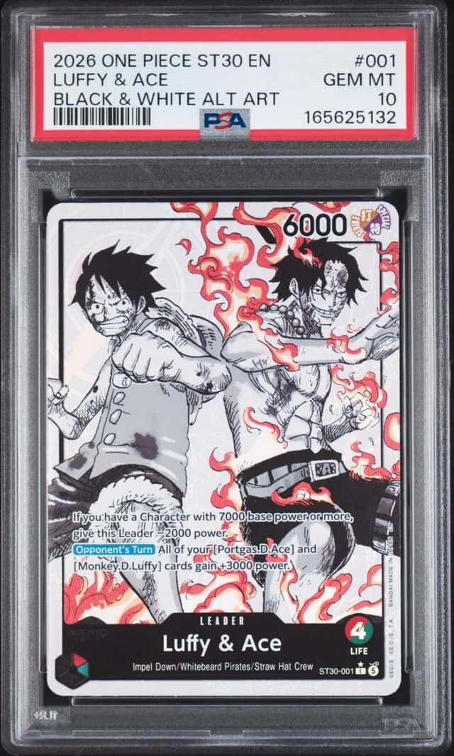 Luffy & Ace