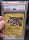 Raikou