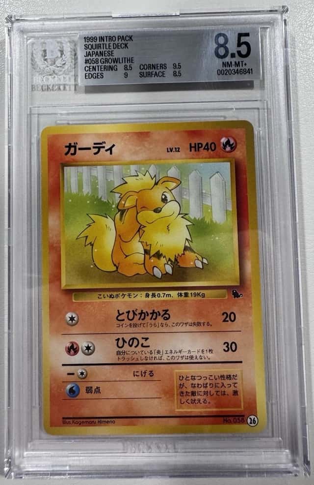 Growlithe (26)