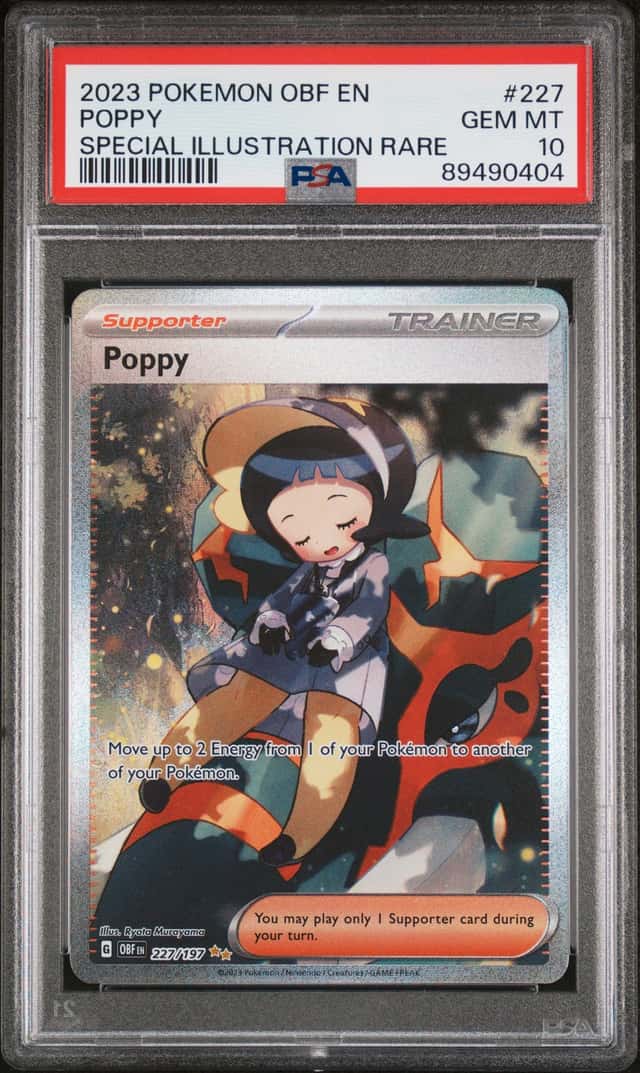 Poppy