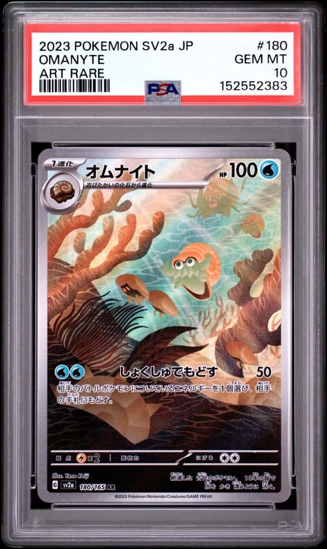 Omanyte