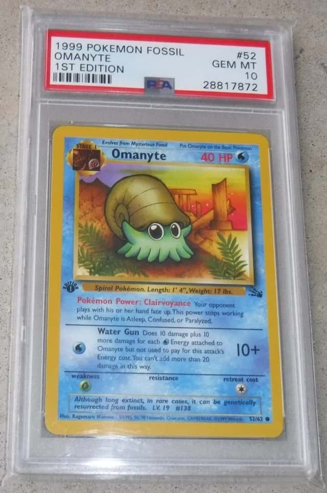 Omanyte