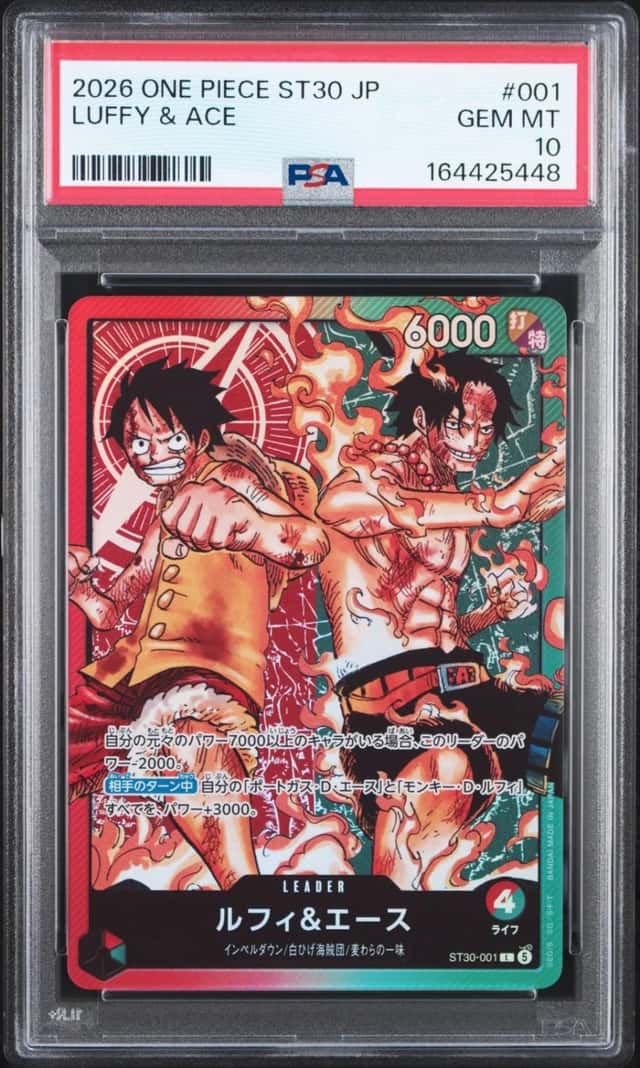 Luffy & Ace