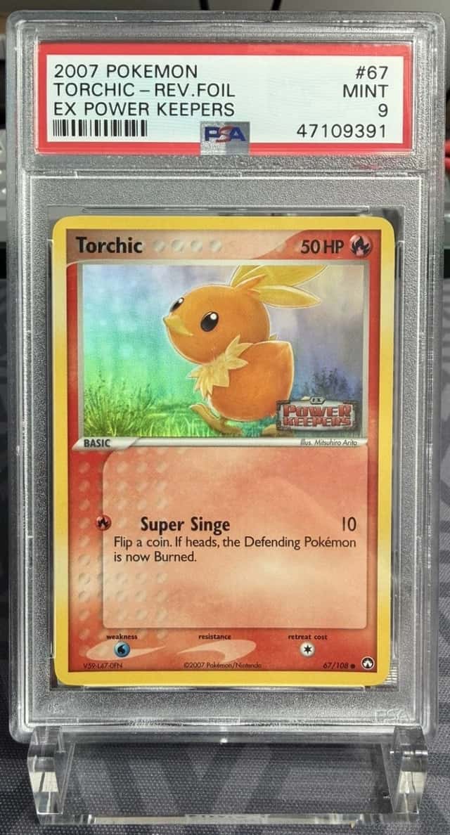 Torchic