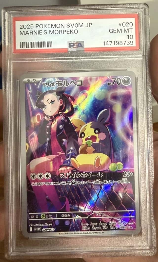 Marnie's Morpeko