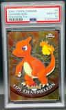 Charmeleon
