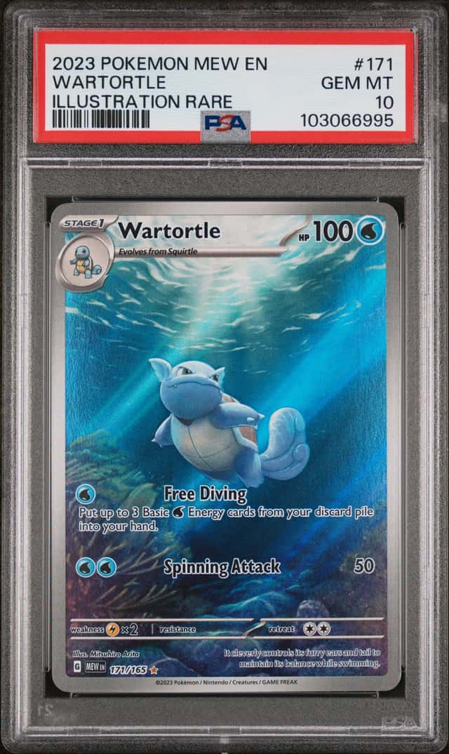 Wartortle