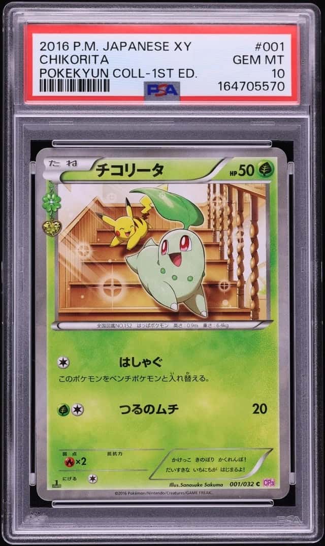 Chikorita