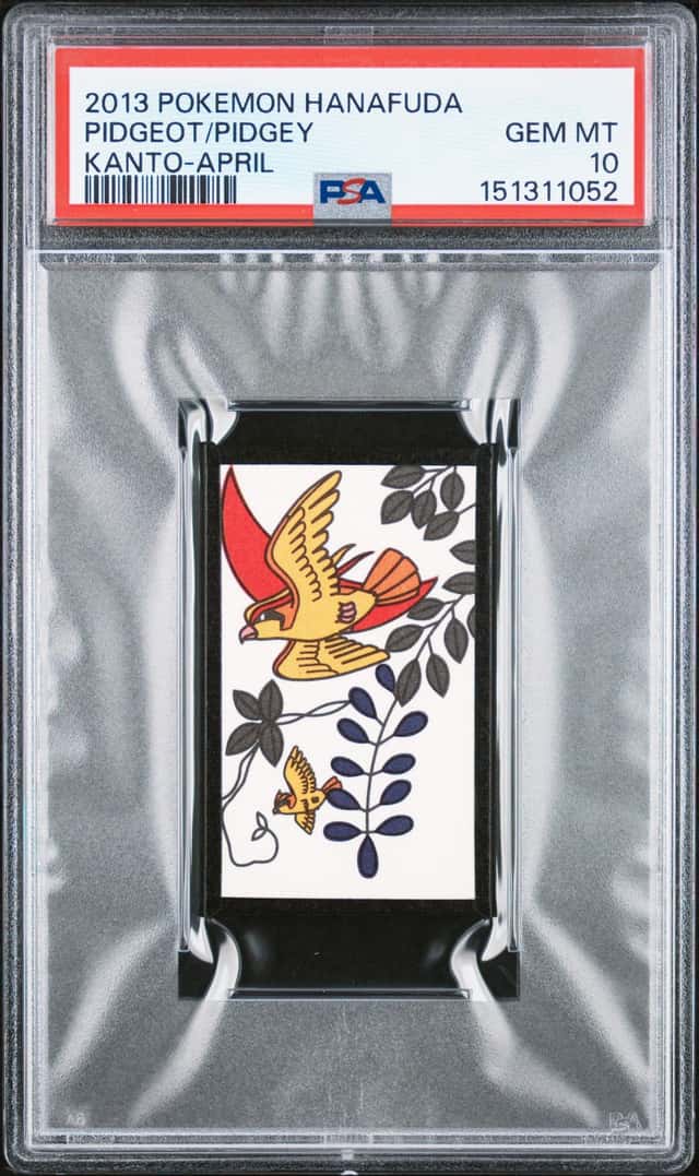 Pidgeot/Pidgey