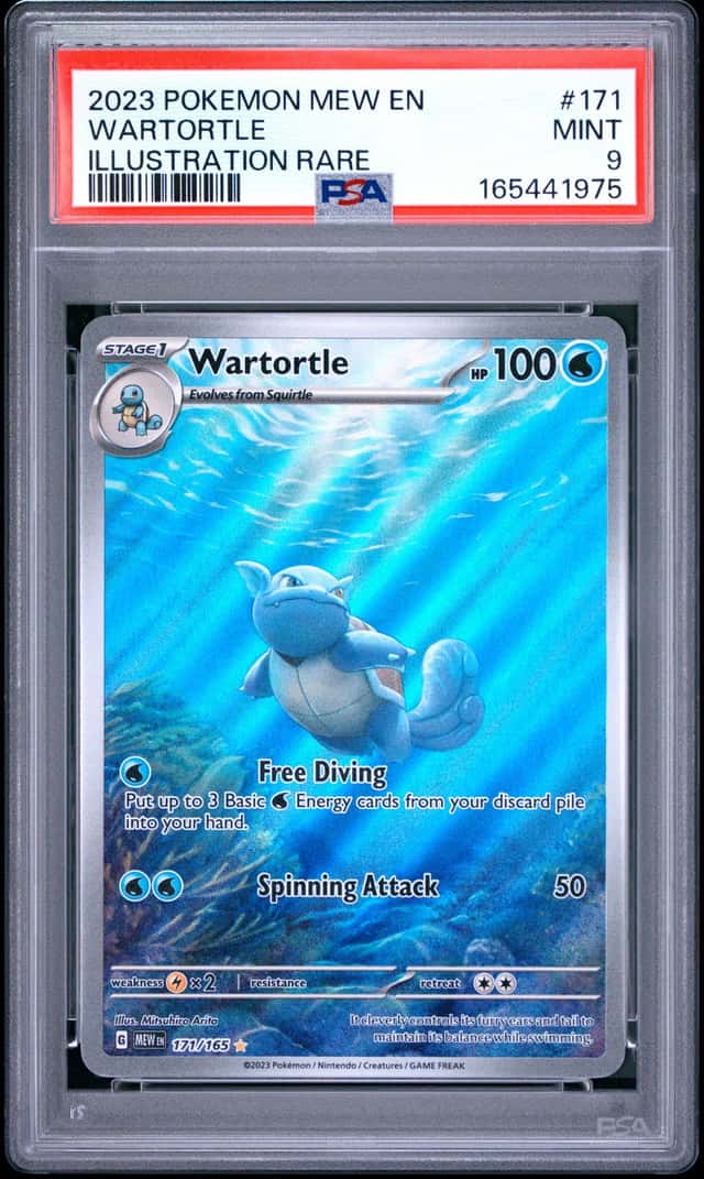 Wartortle
