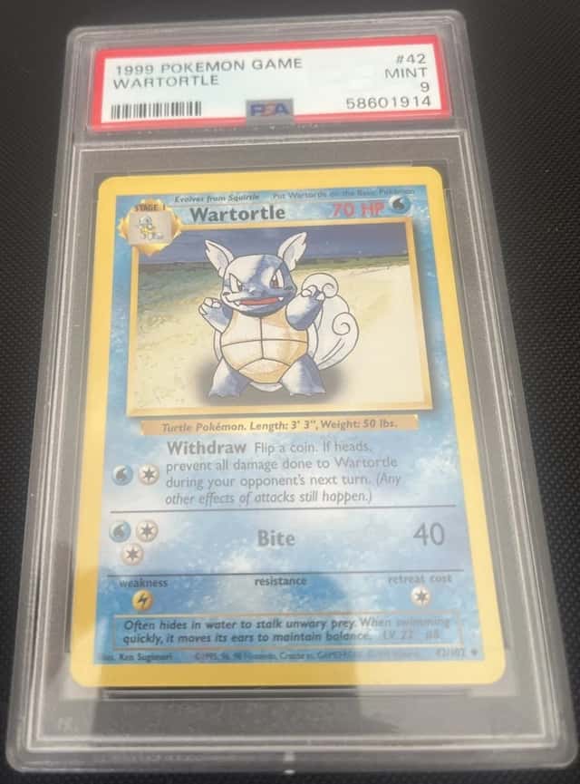 Wartortle