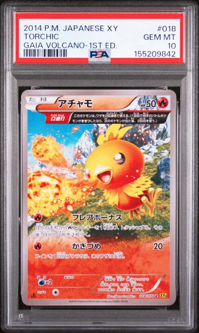 Torchic