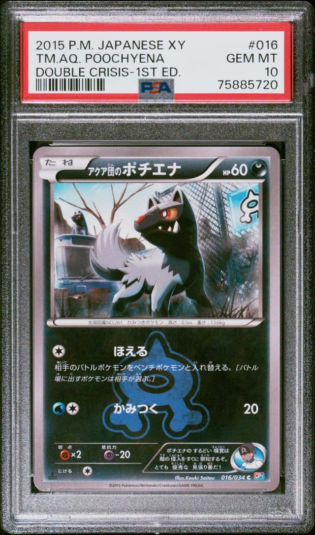 TM.AQ. POOCHYENA