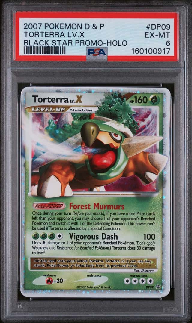 TORTERRA LV.X