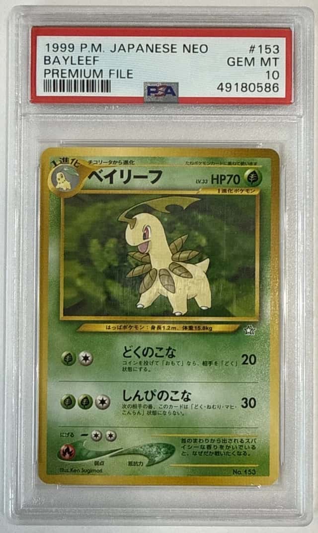 Bayleef