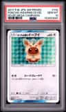 Poncho-Wearing Eevee