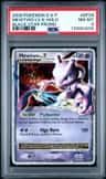 Mewtwo Lv X