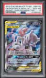 Mewtwo & Mew Gx
