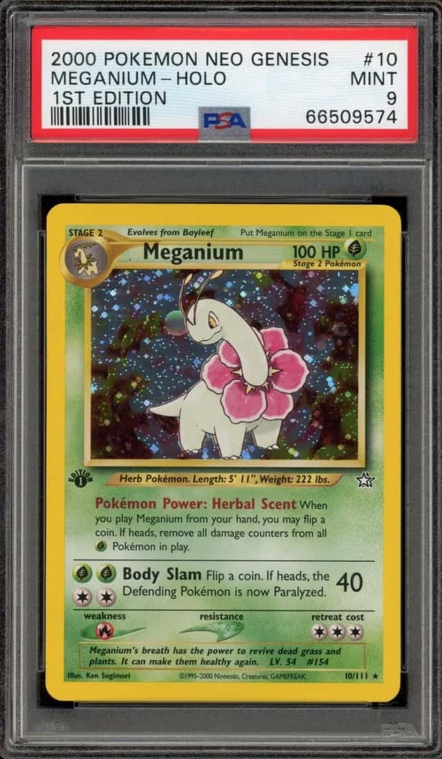 Meganium