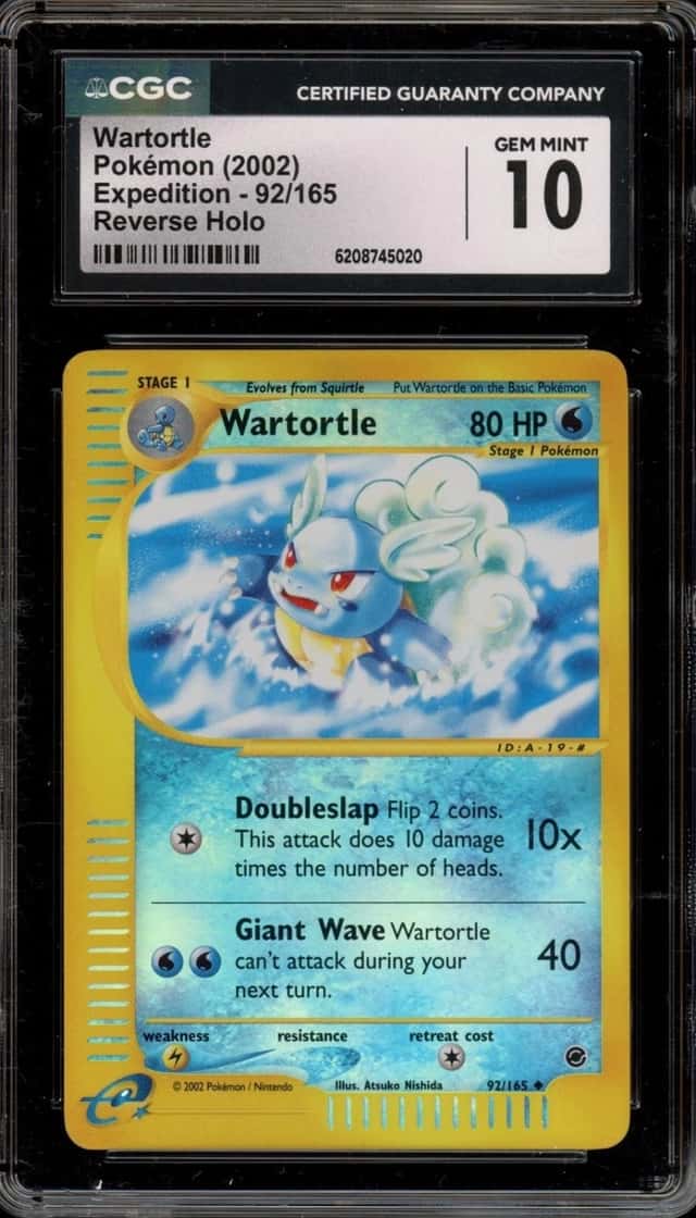 Wartortle