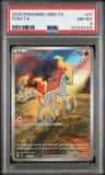 Ponyta