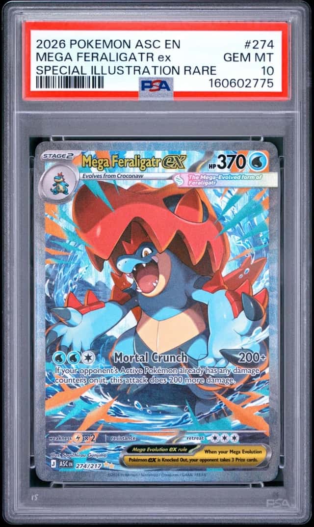 MEGA FERALIGATR ex