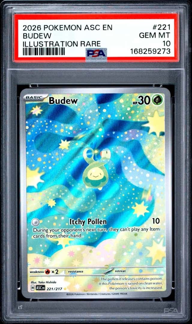 Budew