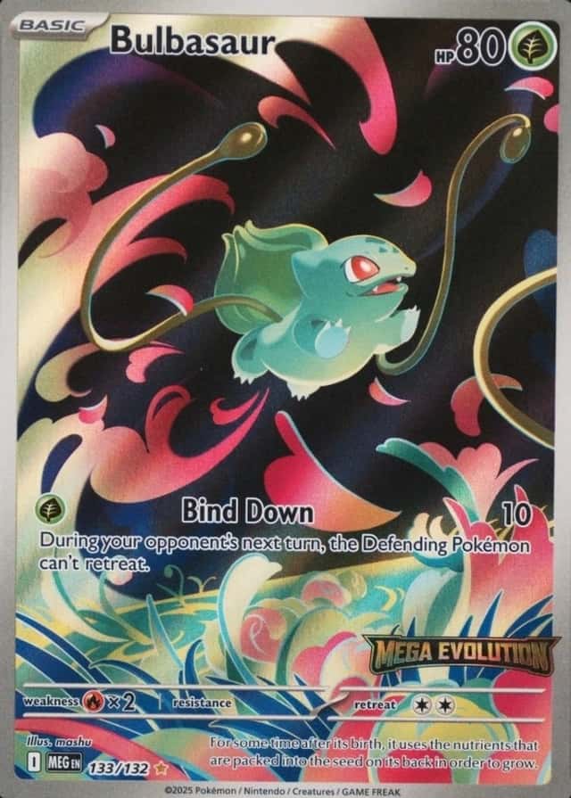 Box Topper
