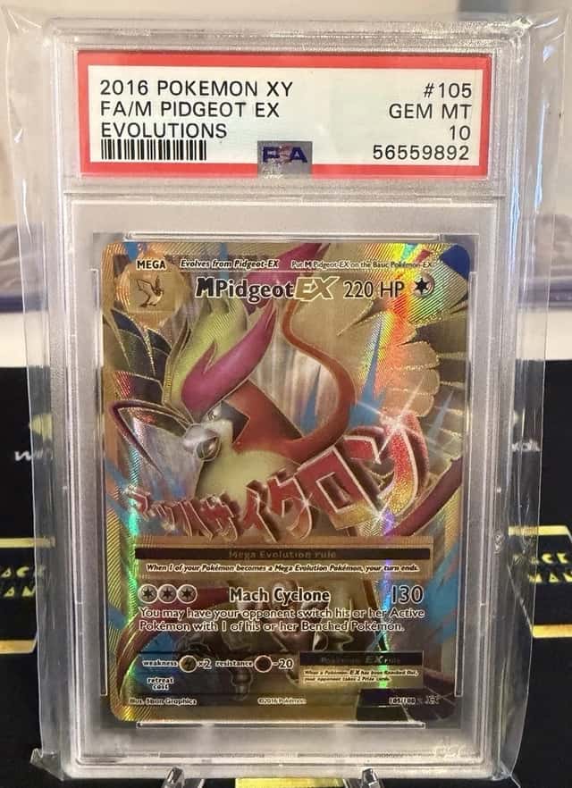 M Pidgeot EX