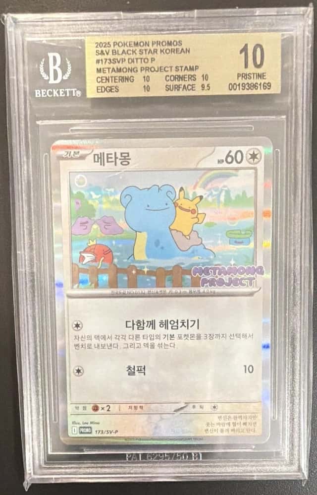 Ditto