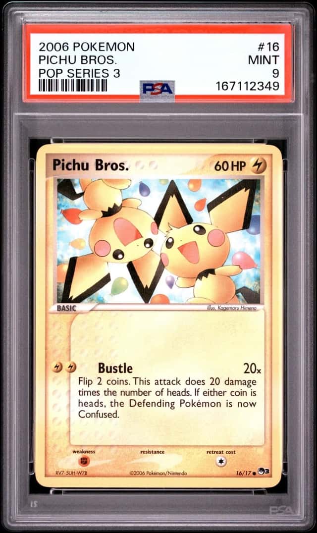 Pichu Bros