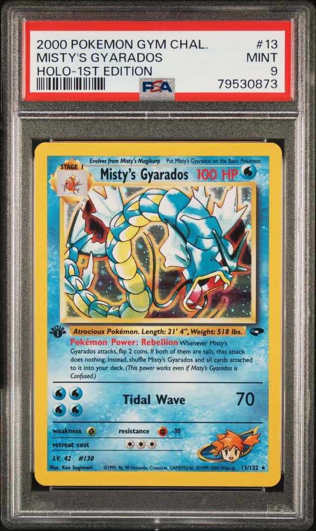 Misty's Gyarados