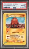 Piloswine