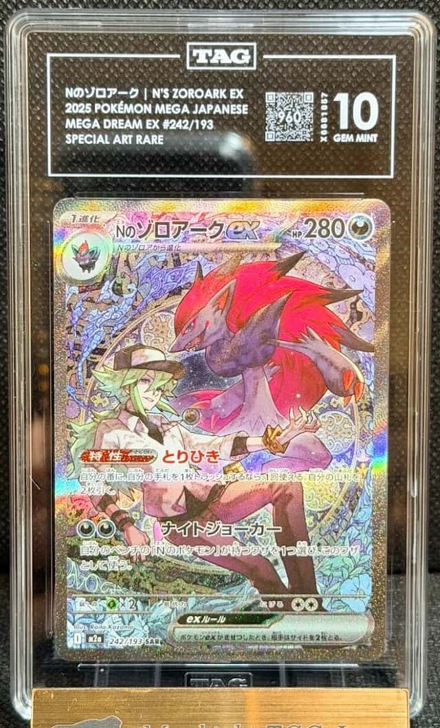 N's Zoroark ex